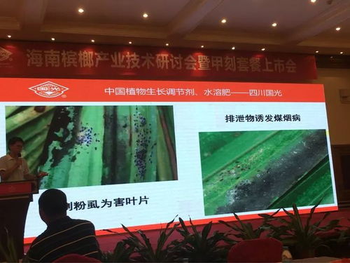 創(chuàng)新共贏 2018檳榔產(chǎn)業(yè)技術(shù)研討交流會暨技術(shù)推廣展望