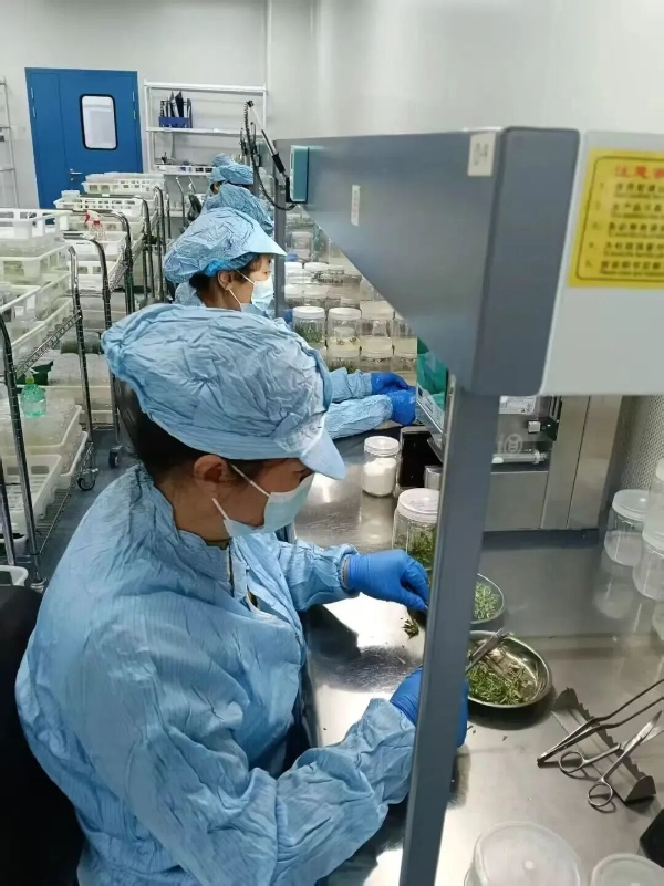 黃河三角洲農(nóng)業(yè)高新技術(shù)產(chǎn)業(yè)示范區(qū)技術(shù)推廣的實踐與探索